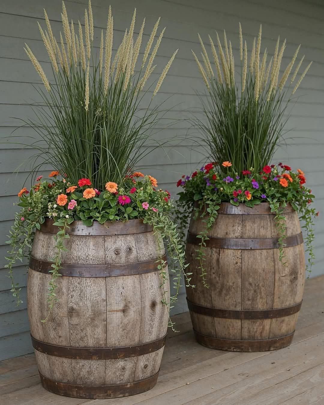 Two wine barrels are side by side with plants inside them — Hunter Valley Plant Market in Nulkaba, NSW