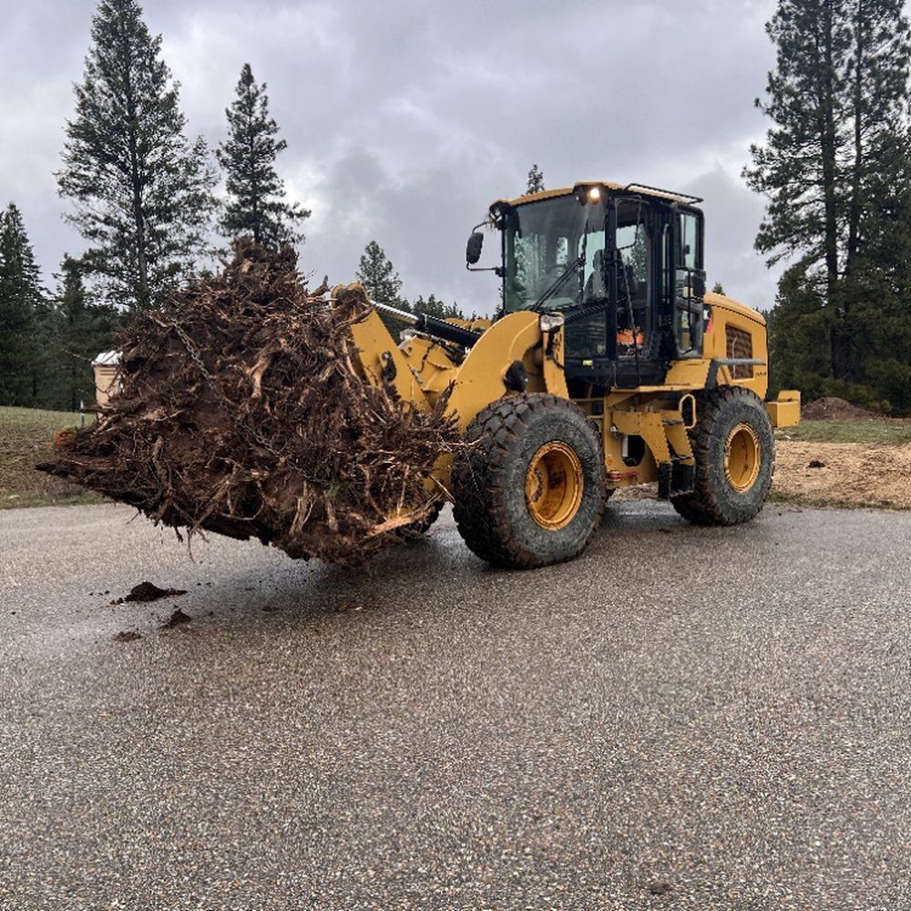 A yellow front loader from Preferred Excavations clearing dead trees debris.