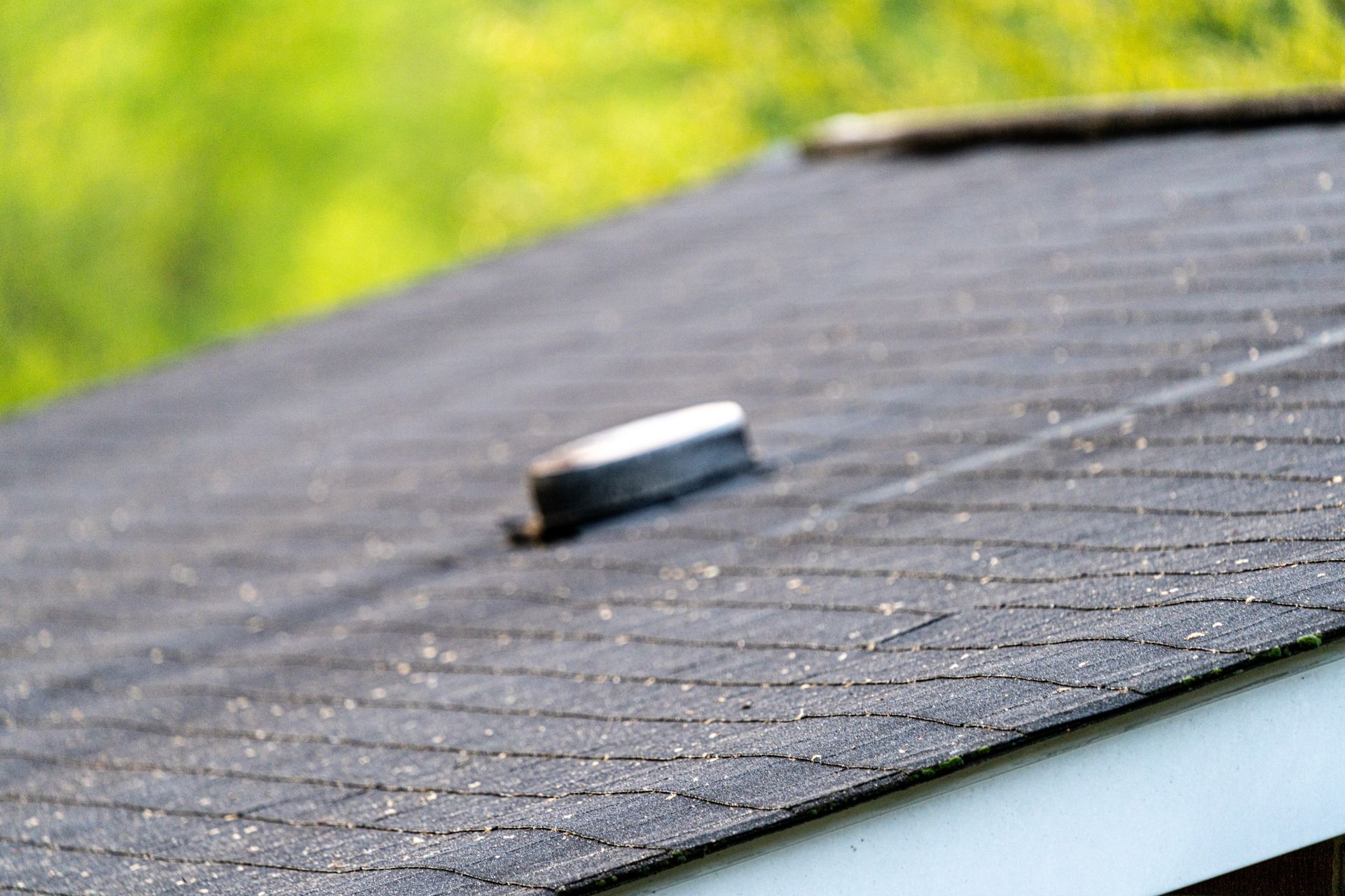 A close-up view of a dark asphalt shingled roof with a small silver vent, set against a blurred green background.