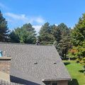 A person working on the shingled roof of a house on a sunny day with trees in the background.