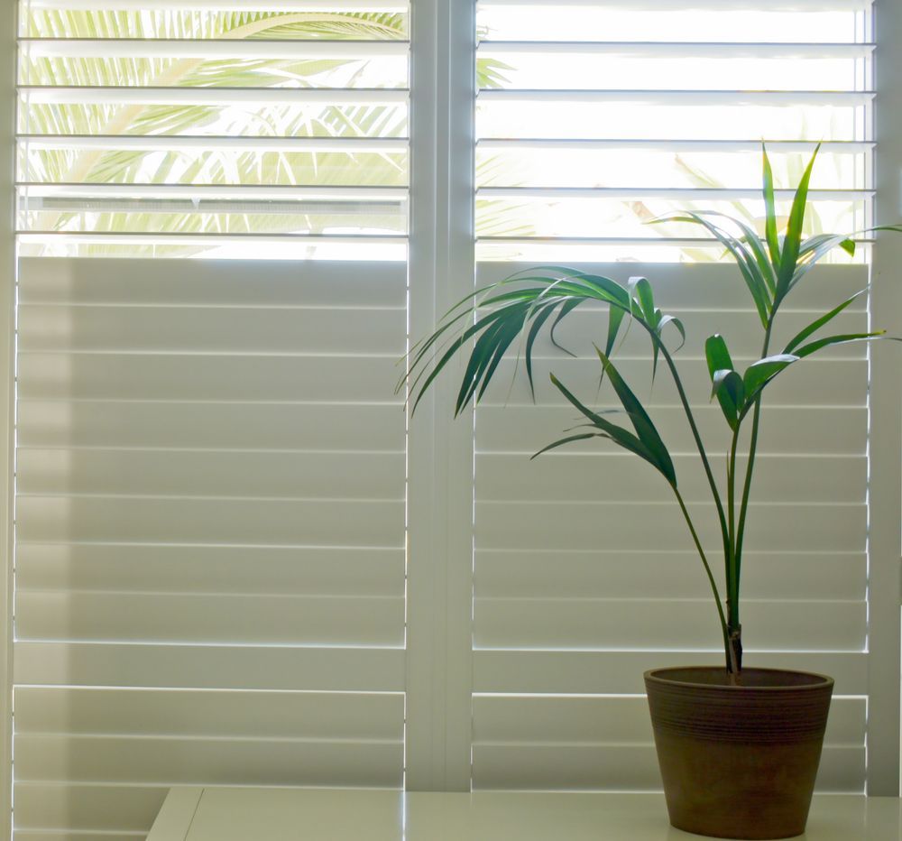 A Potted Plant In Front Of A Window With Shutters — Balcony Shutters Australia In Moffat Beach, QLD