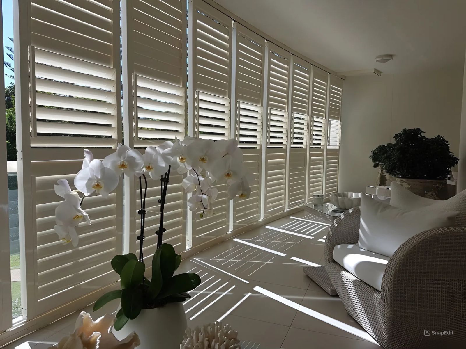 A Living Room With White Shutters And A Potted Plant — Balcony Shutters Australia In Moffat Beach, QLD