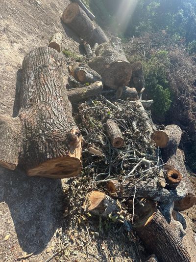 A pile of logs sitting on top of a dirt field.