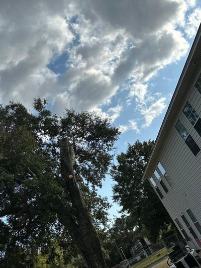 A house with a tree in front of it and a cloudy sky