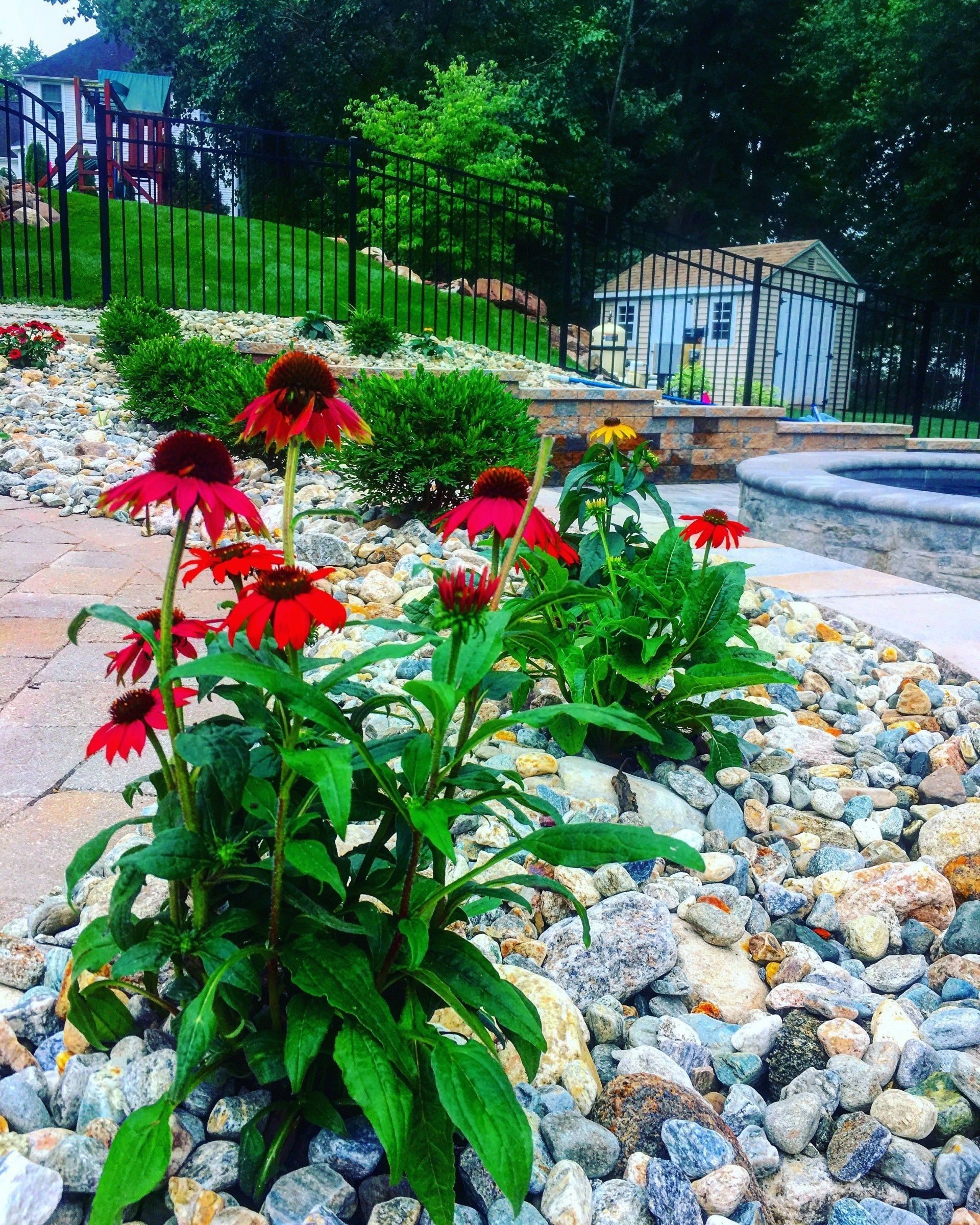 New Foundation Plantings — Landscape Design in Cromwell, CT
