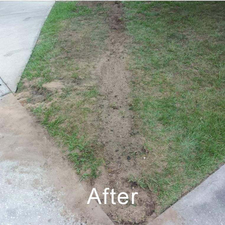 Sewer pipe repairs with tree roots after 1