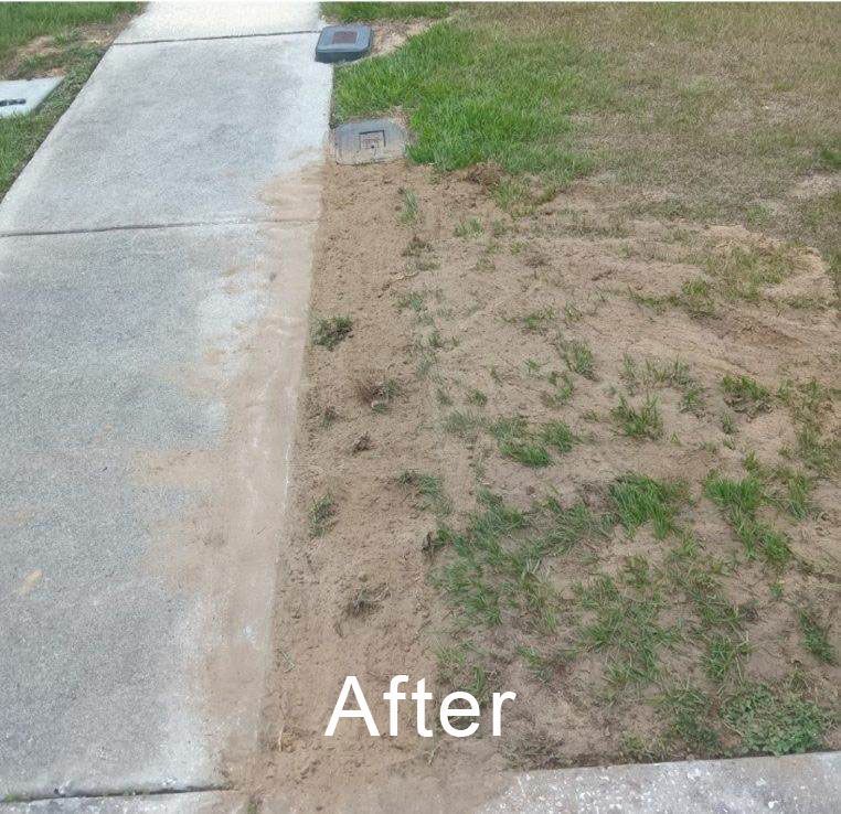 Sewer pipe repairs with tree roots after 2