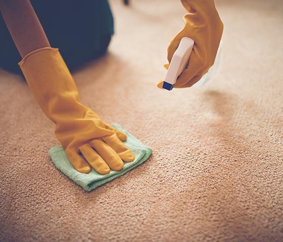 Cleaning Supplies — Carpet Disinfectant in Ukiah, CA