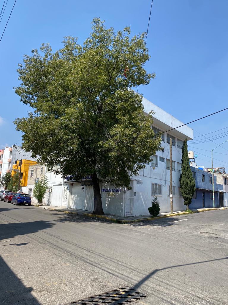 Clínica de Endodoncia Toluca