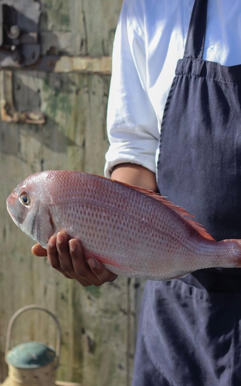 Piatto di melanzane con vino e vaso a forma di testa siciliana.