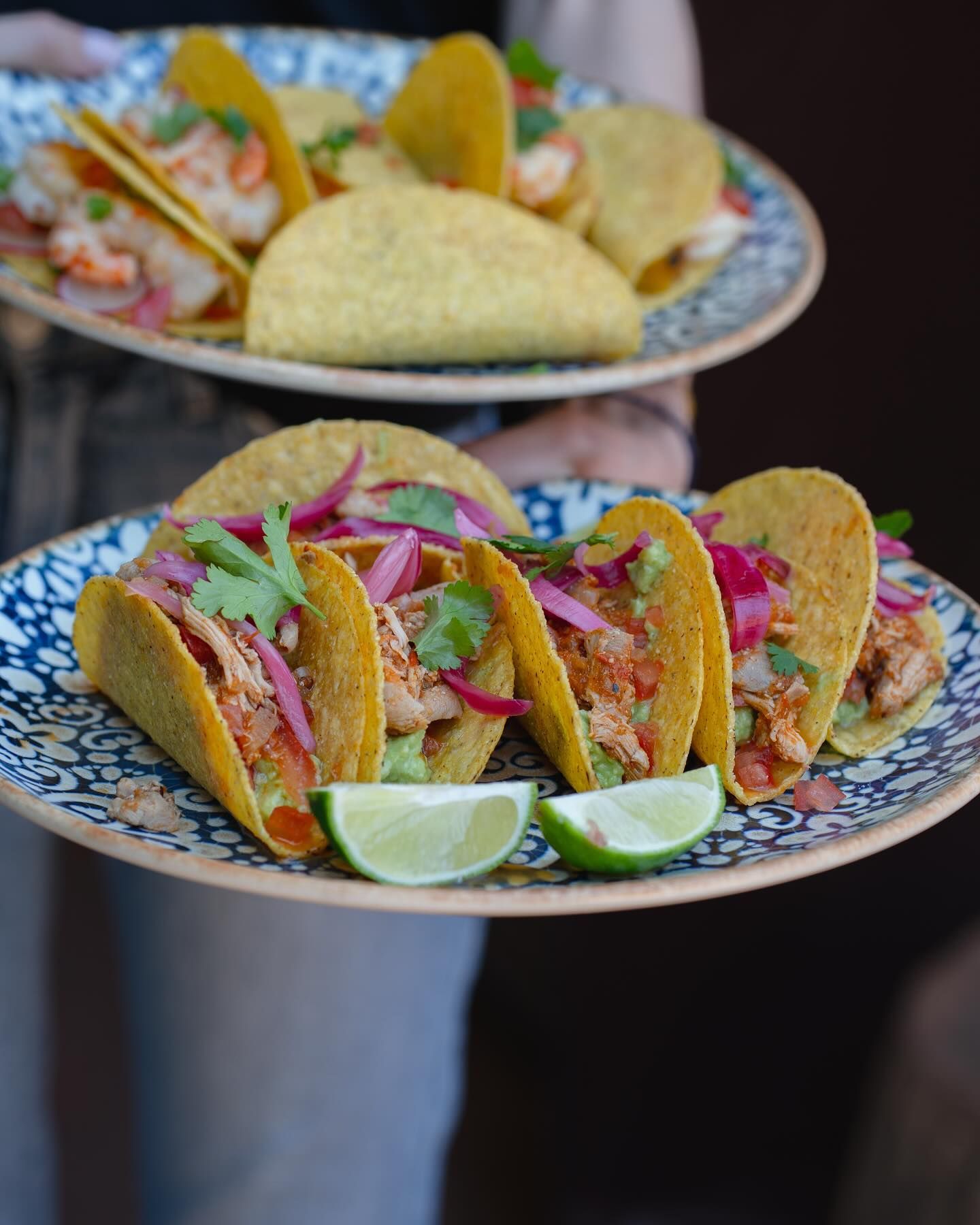 Pasta ai frutti di mare con gamberi, cozze, polpo, pomodori ed erbe aromatiche su un piatto bianco.