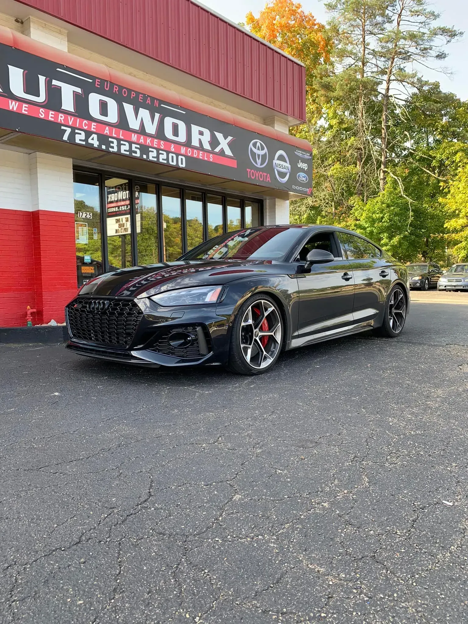 Black Audi Parked in Front of Shop | European Autoworx