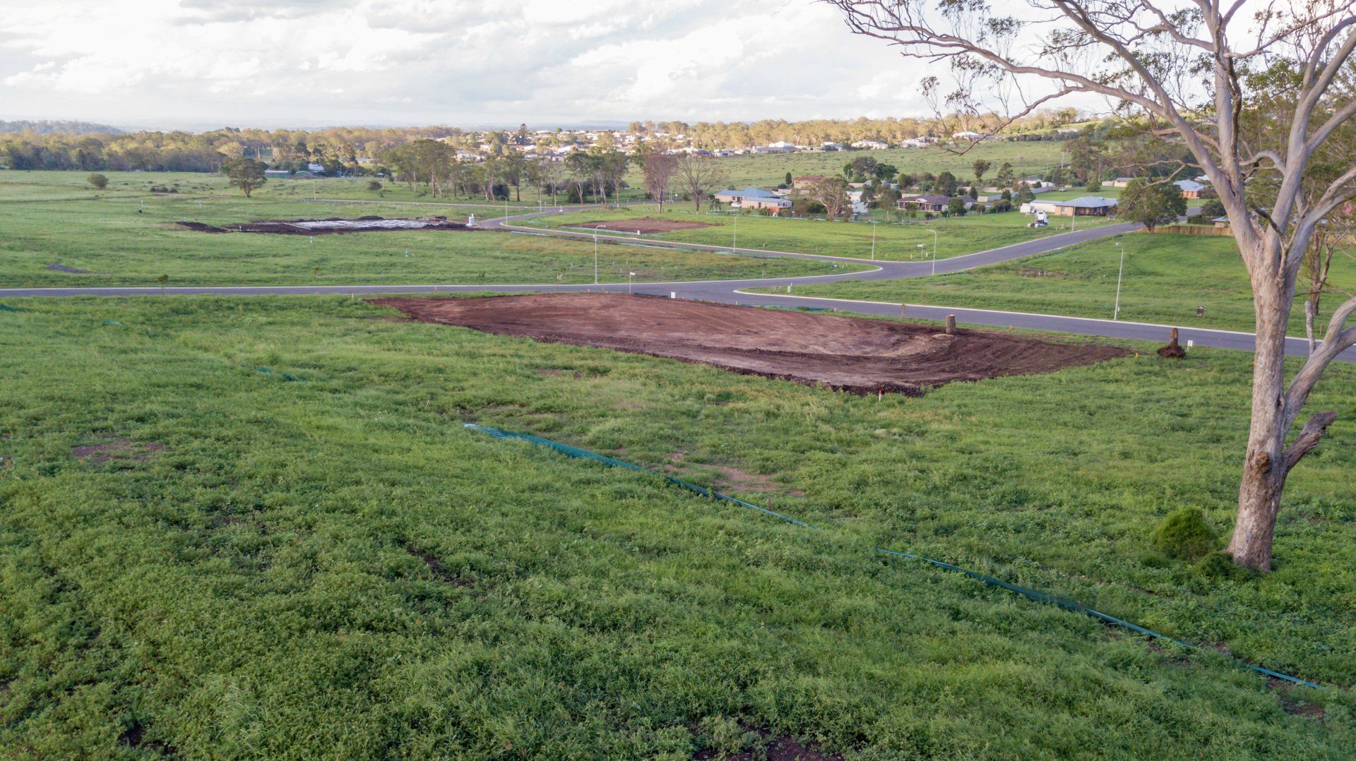 Clive Berghofer Group