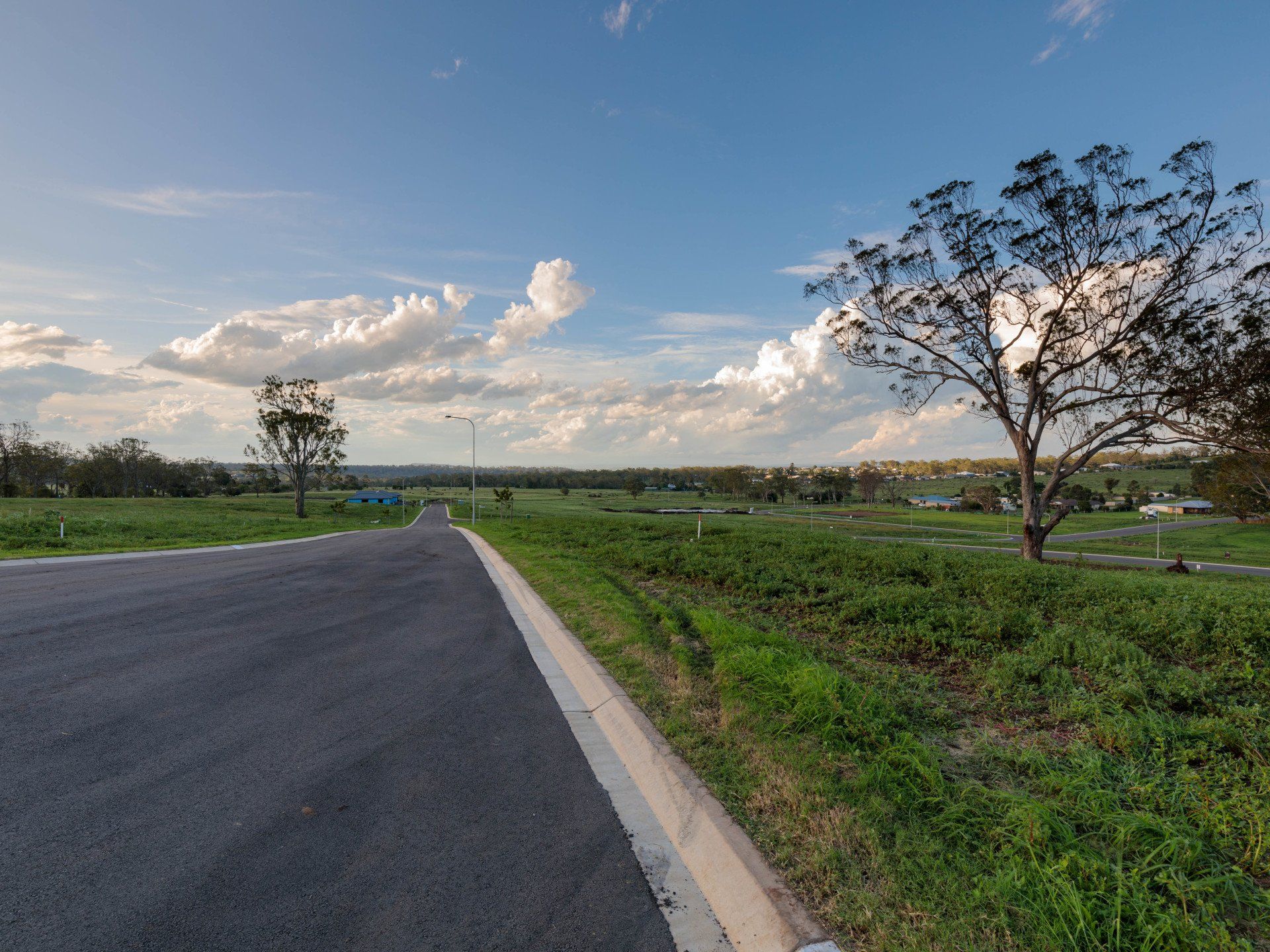 Clive Berghofer Group