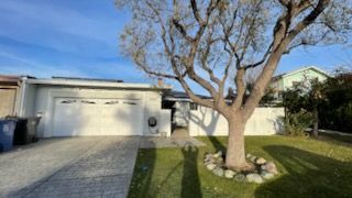 A light-colored house with a driveway, a large tree, and green lawn under a blue sky.