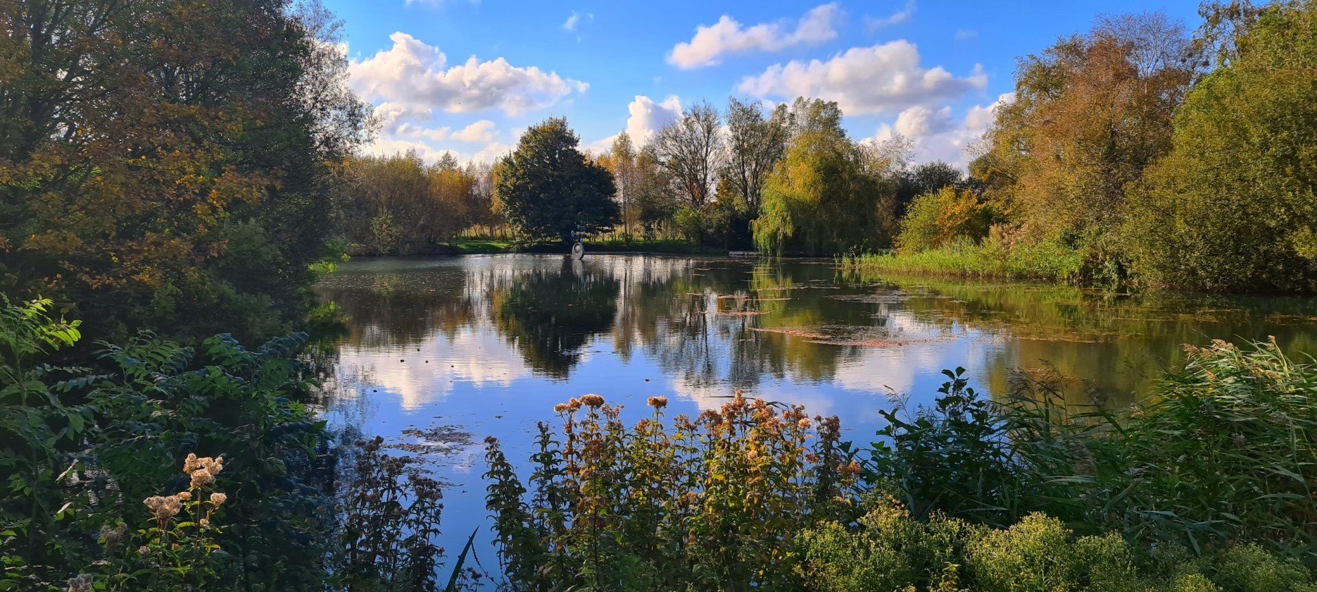 Top 5 best walks in South West Dorset