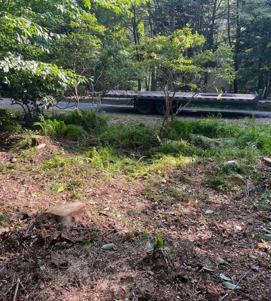 A truck is parked on the side of the road in the woods.