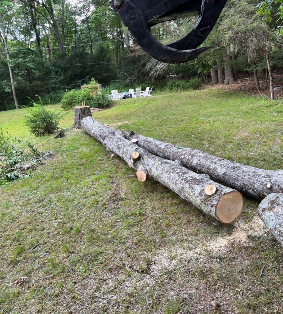 A pile of logs sitting on top of a lush green field.
