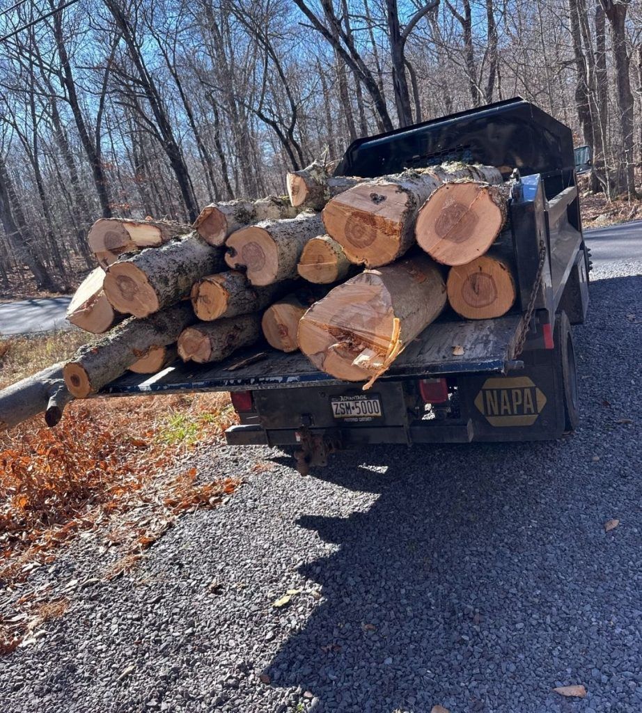 A napa truck is full of logs on a gravel road