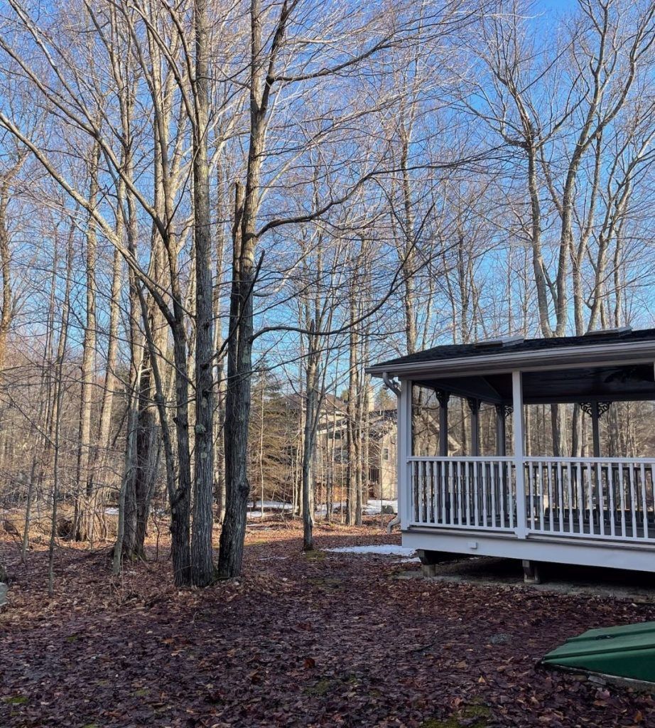 A gazebo in the middle of a forest with trees in the background.