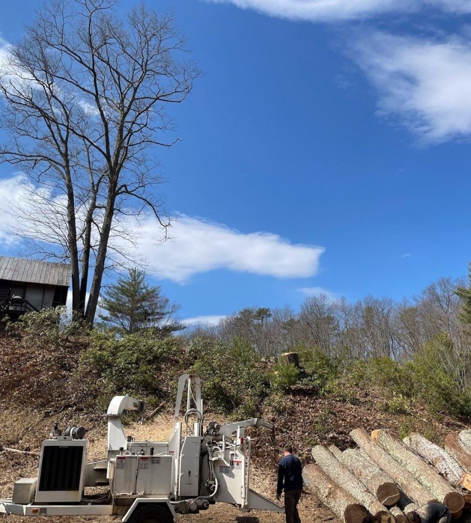 A man is standing in front of a pile of logs.
