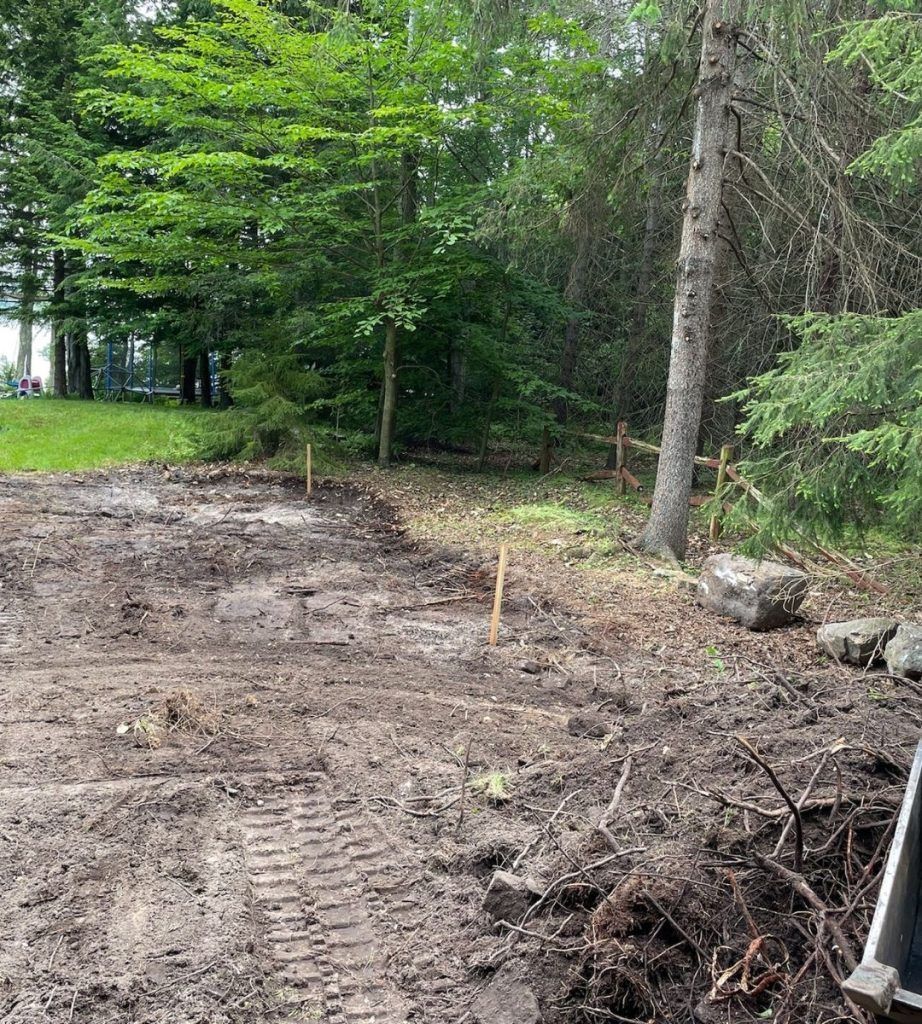 A dirt road in the middle of a forest with trees in the background.