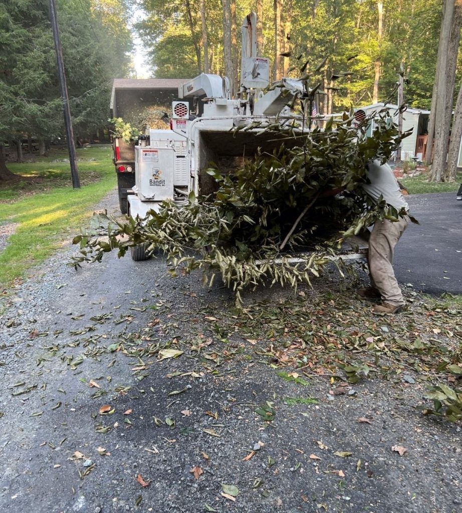 A man is carrying a pile of branches in front of a tree chipper.
