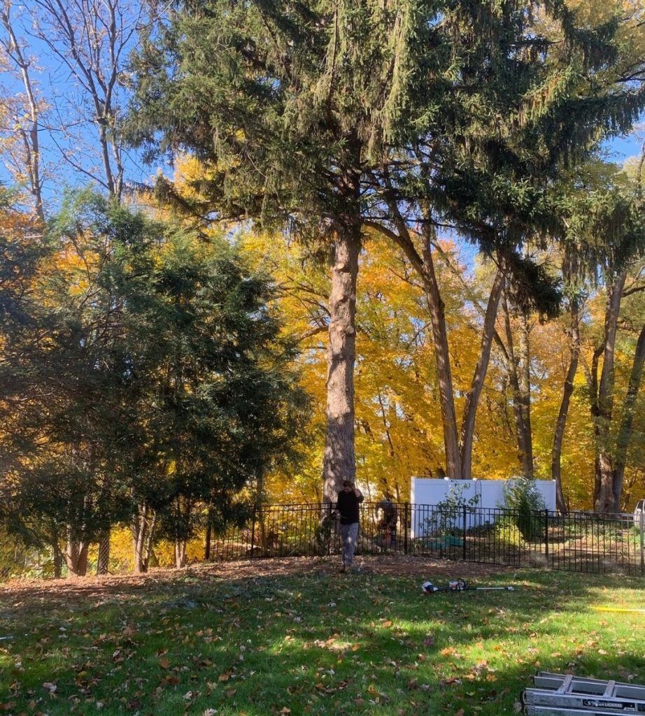 A man is standing in a park surrounded by trees with yellow leaves.