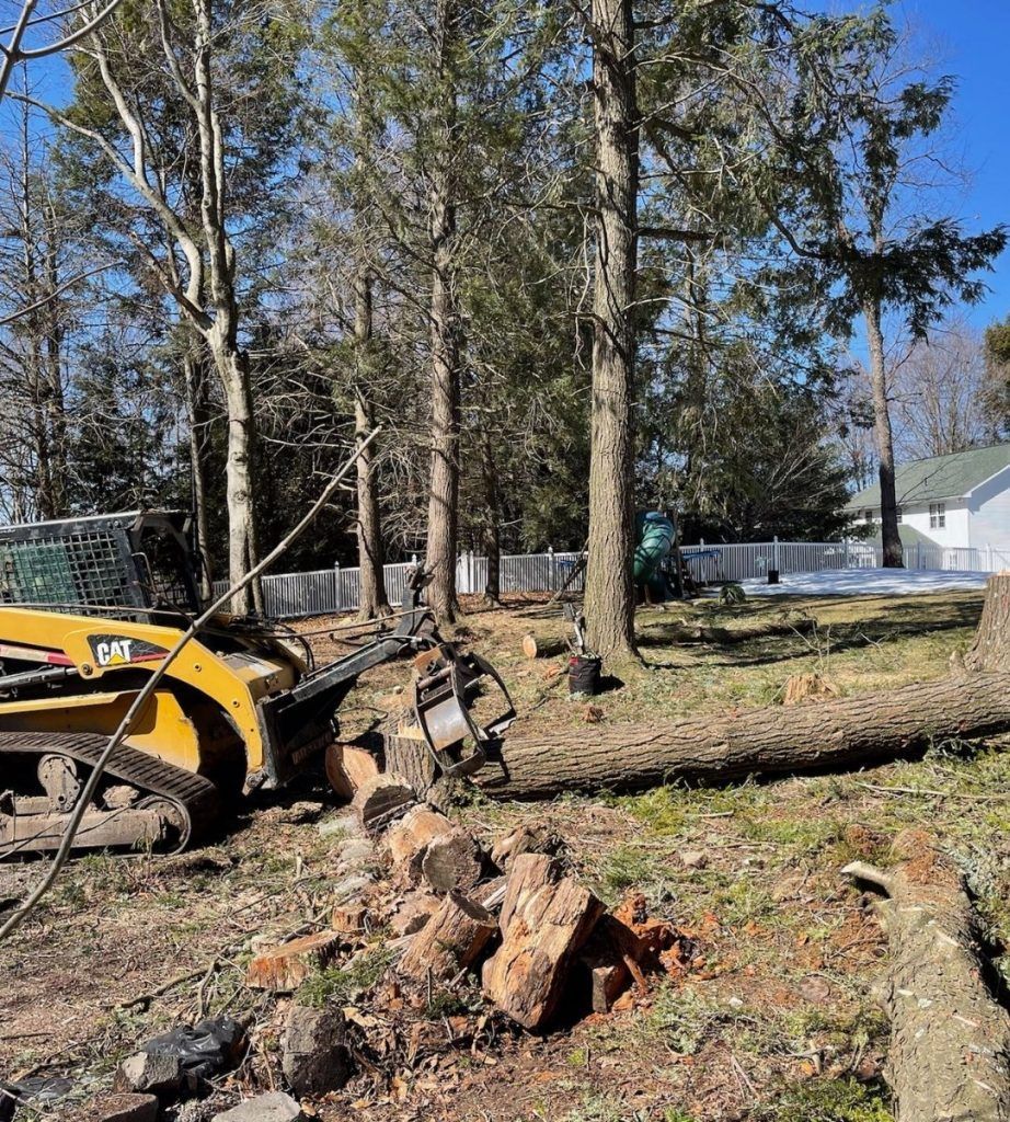 A bulldozer is cutting down a tree in a forest.