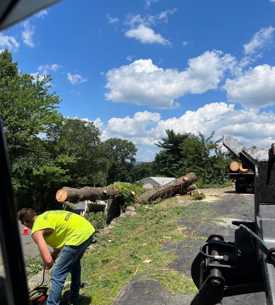 A man in a yellow shirt is standing in front of a pile of logs.