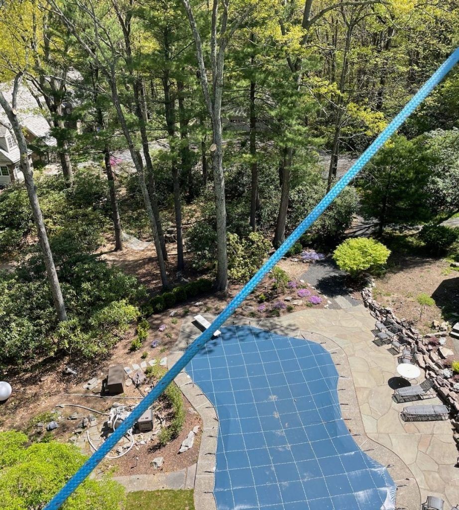 An aerial view of a swimming pool in a backyard surrounded by trees.