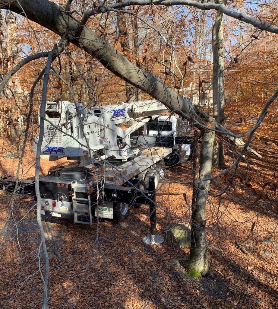 A truck is cutting a tree in the woods.