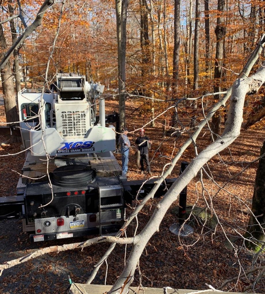 A man is standing next to a crane in the woods.