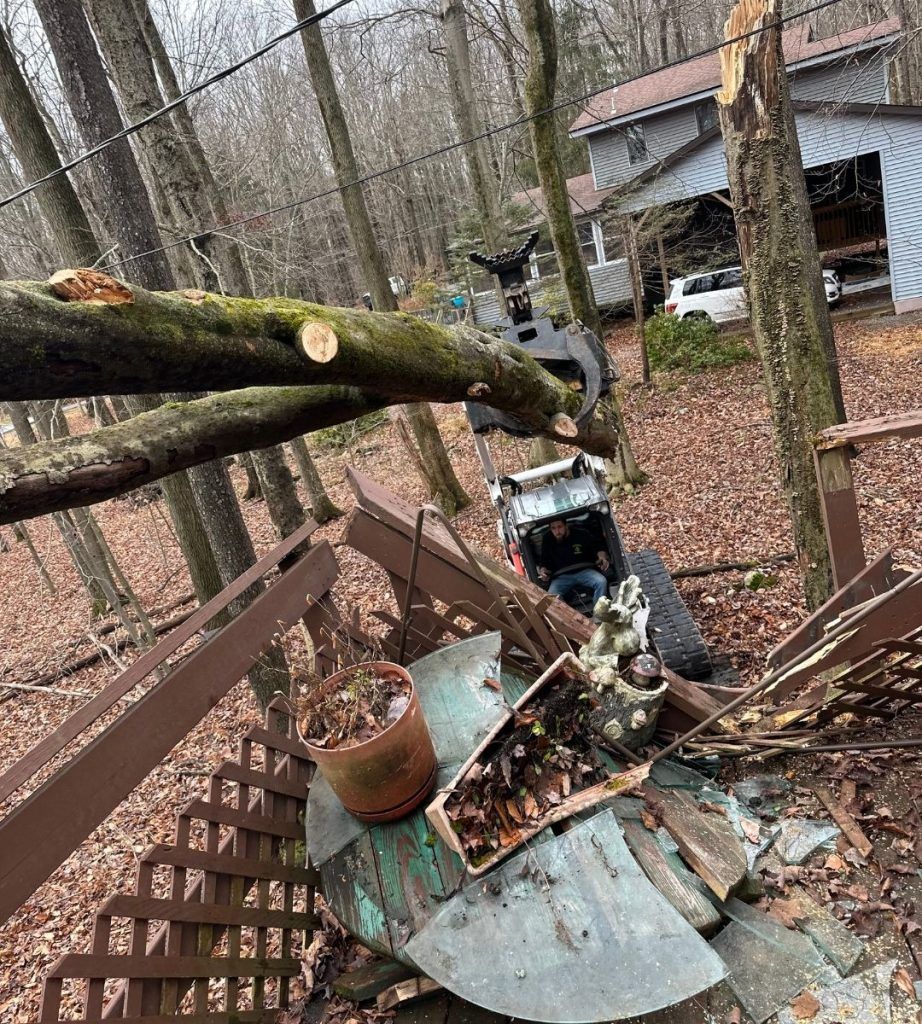 A tree has fallen on a fence in the woods.
