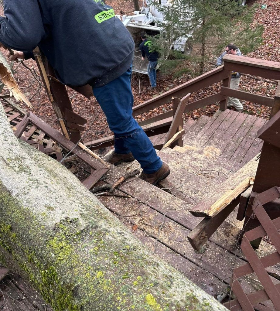 A man is walking down a set of wooden stairs.