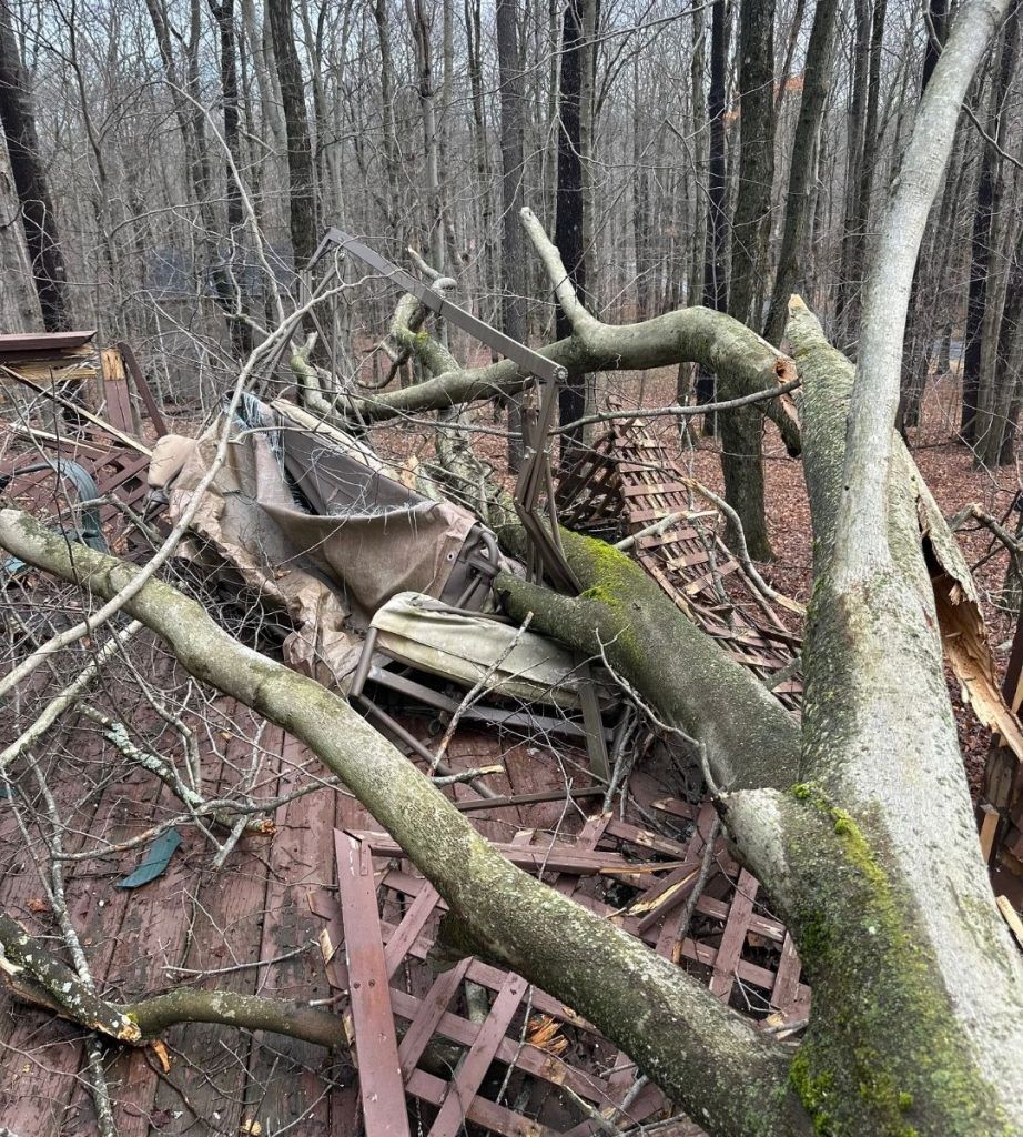 A pile of wood and branches in the middle of a forest.