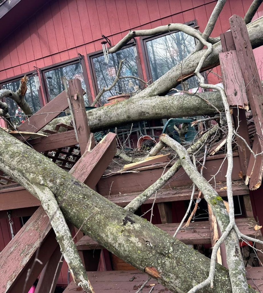 A tree branch is laying on top of a wooden deck.