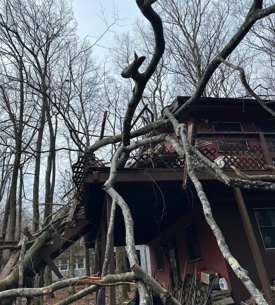 A tree has fallen on a house in the woods.
