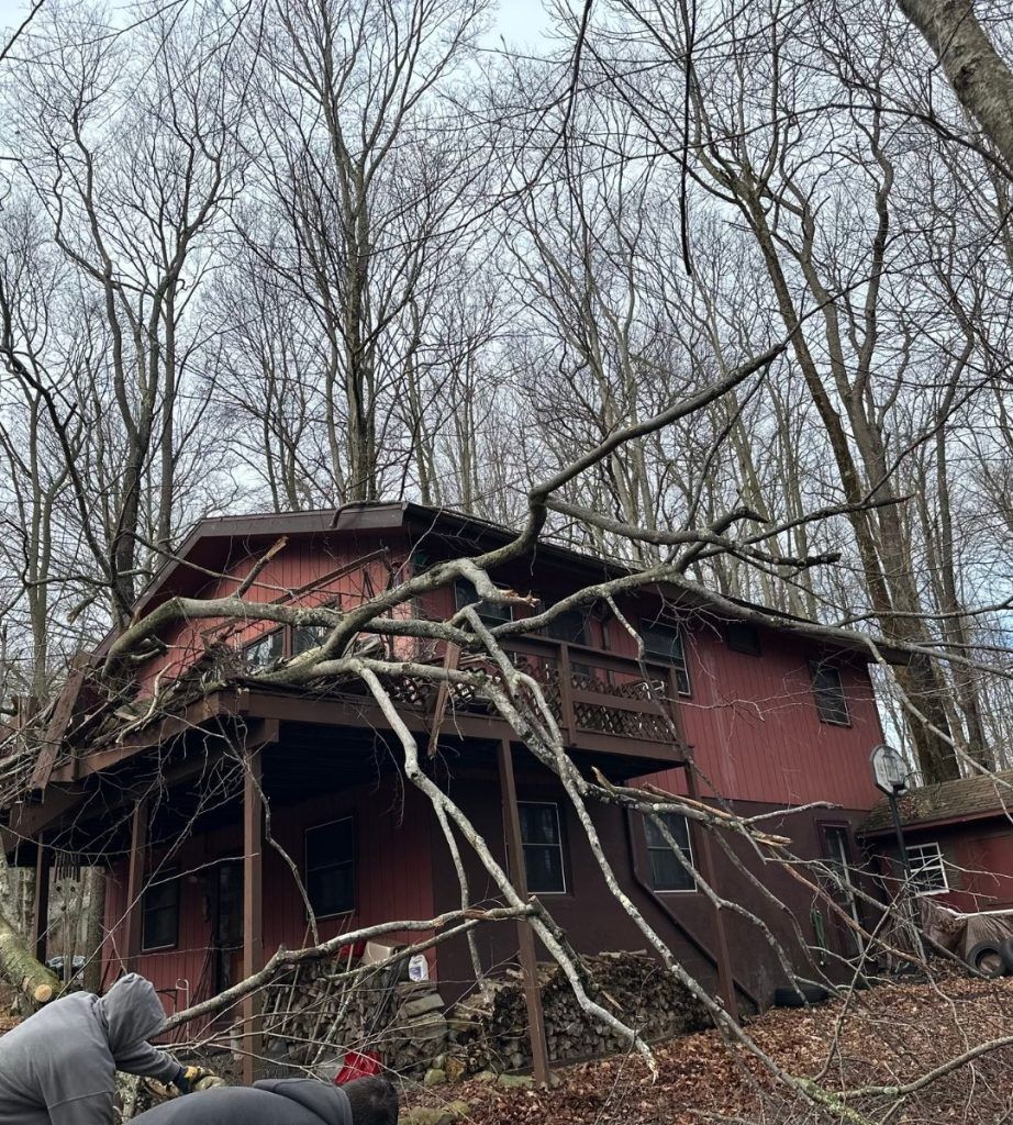 A red house with a fallen tree in front of it.