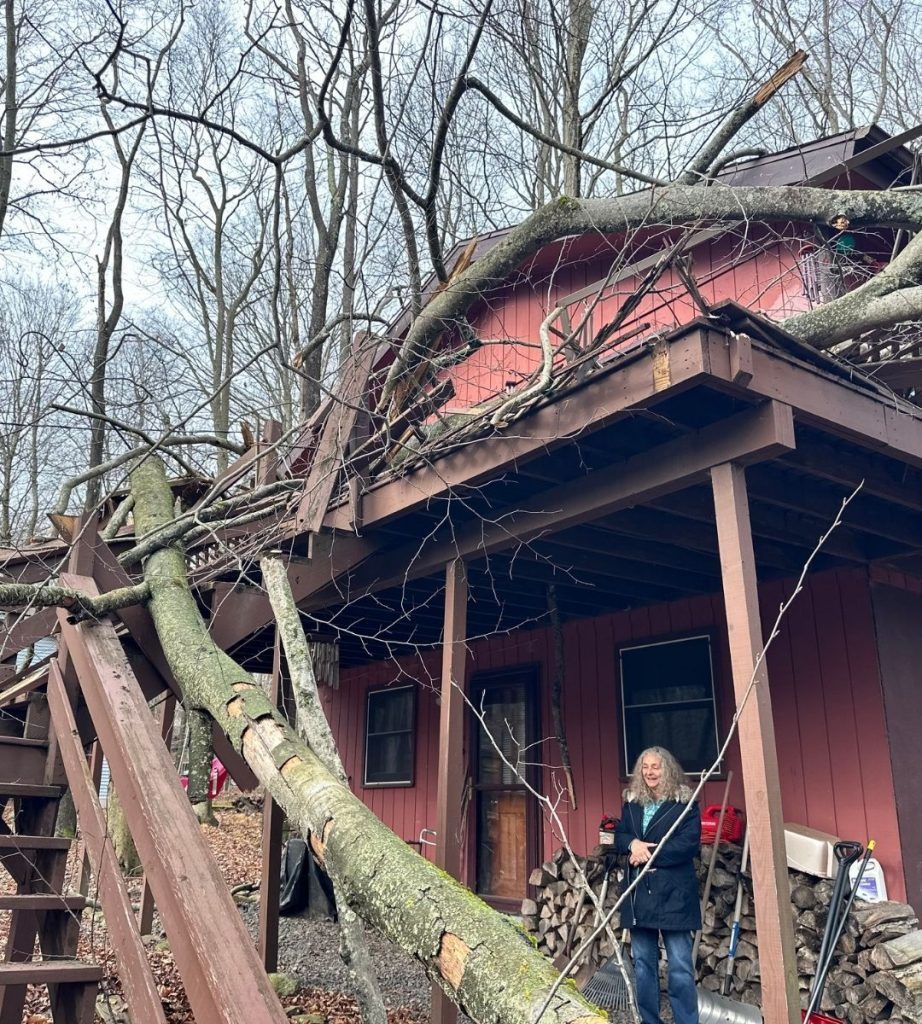 A tree has fallen on the roof of a house.