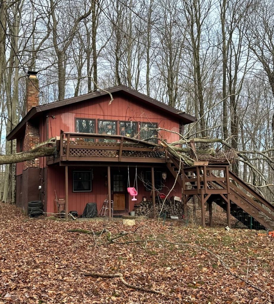 A red house with a deck in the middle of a forest.