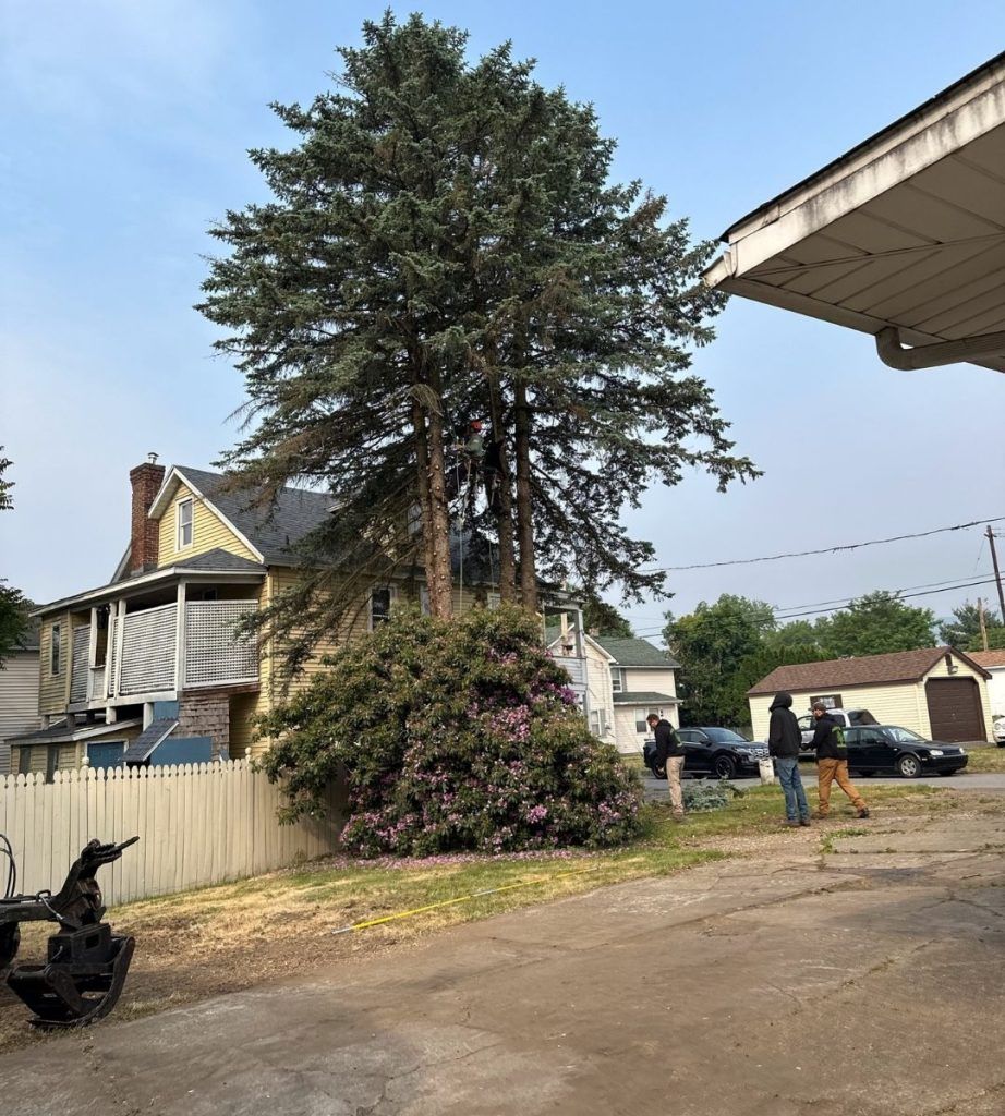 A group of people standing in front of a house and a tree