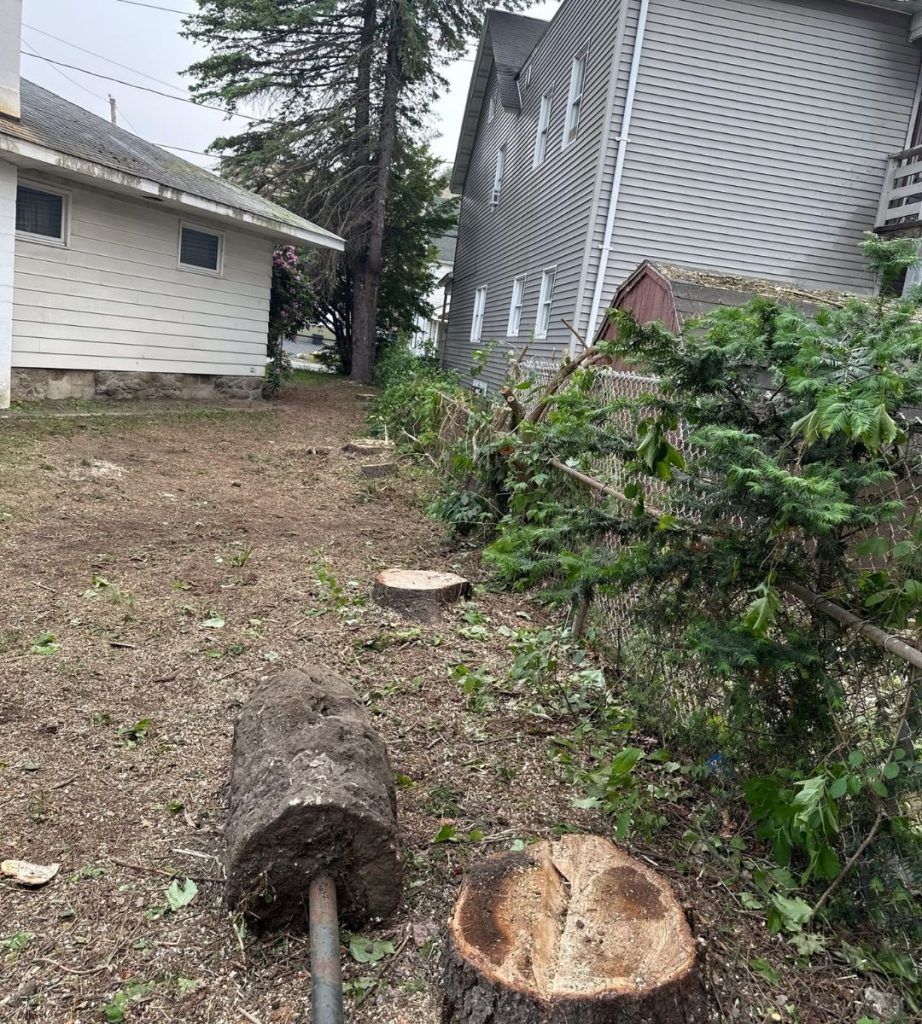 A tree stump is sitting in the dirt in front of a house.