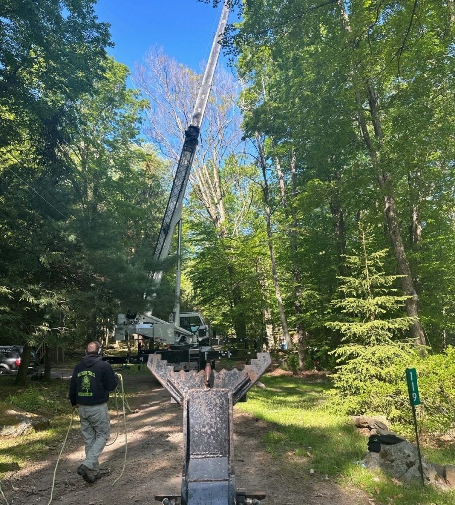 A man is walking down a dirt road next to a crane in the woods.