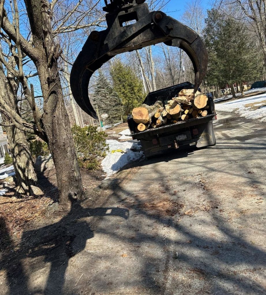 A truck is being loaded with logs by a crane.