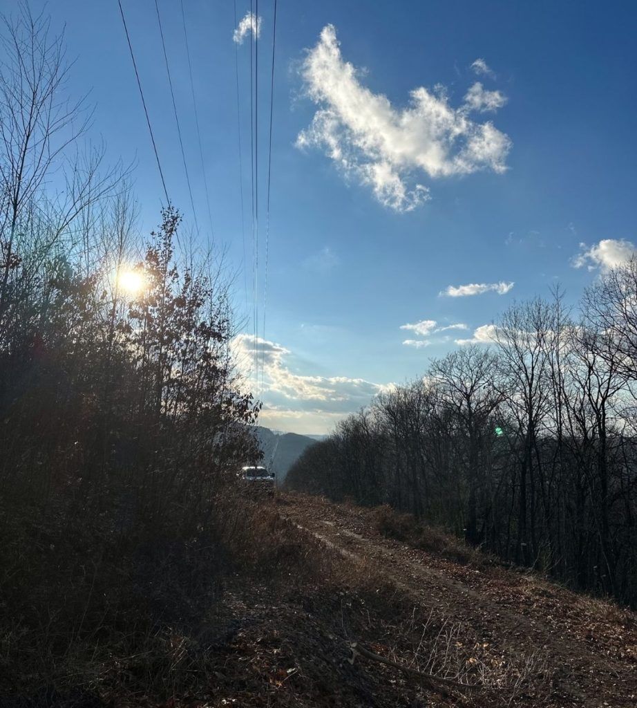 The sun is shining through the trees on a dirt road