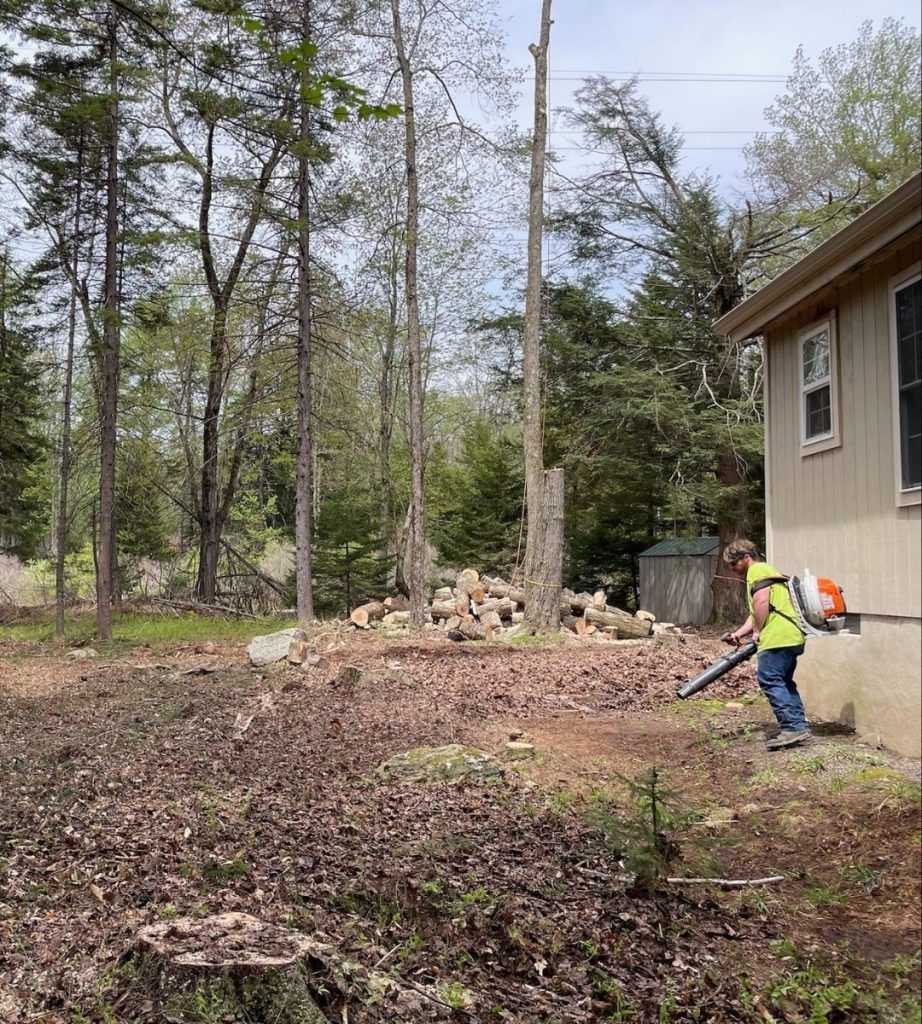 A man is blowing leaves in front of a house in the woods.