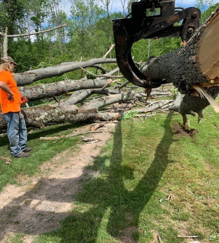 A man in an orange shirt is standing in front of a pile of fallen trees.