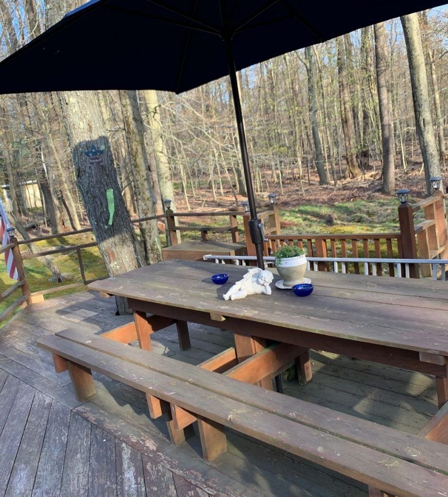 A wooden picnic table with a blue umbrella in the woods