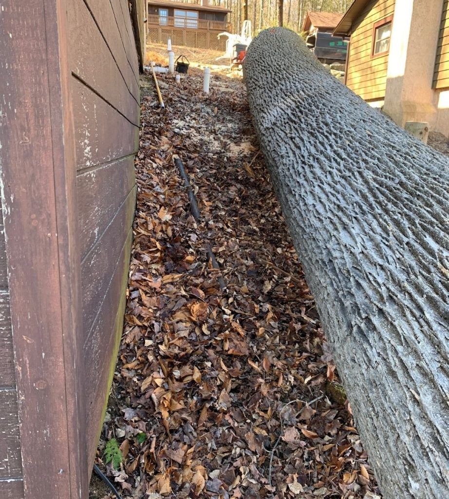 A large log is leaning against a wooden wall next to a chain link fence.